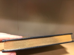 Healer's War - Elizabeth Ann Scarborough Sci Fi Easton Press 