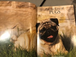 For the Love of PUGS Easton Press 