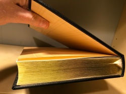 Greek Classic: THE BACCHAE AND MEDEA by Euripides Easton Press 