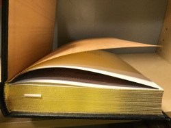 Greek Classic: THE BACCHAE AND MEDEA by Euripides Easton Press 