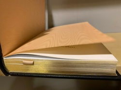 Rider at the Gate - C. J. Cherryh SIGNED 1st Edition Sci Fi Easton Press 